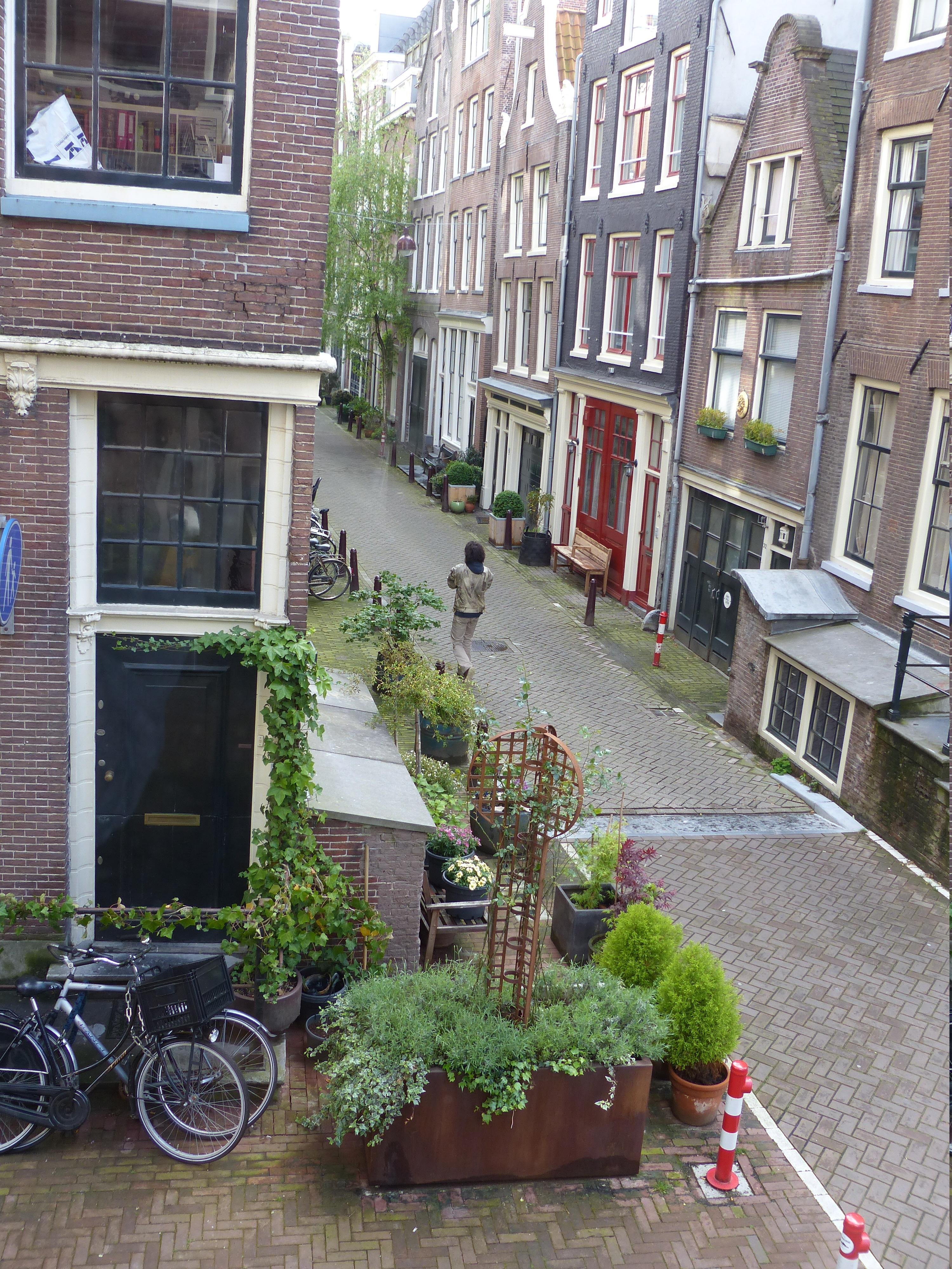 BED AND BREAKFAST GALLERY - B&B Reviews (Amsterdam, The Netherlands)