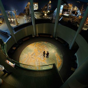 Spiders, Webs, and Birds - Buffalo Bill Center of the West