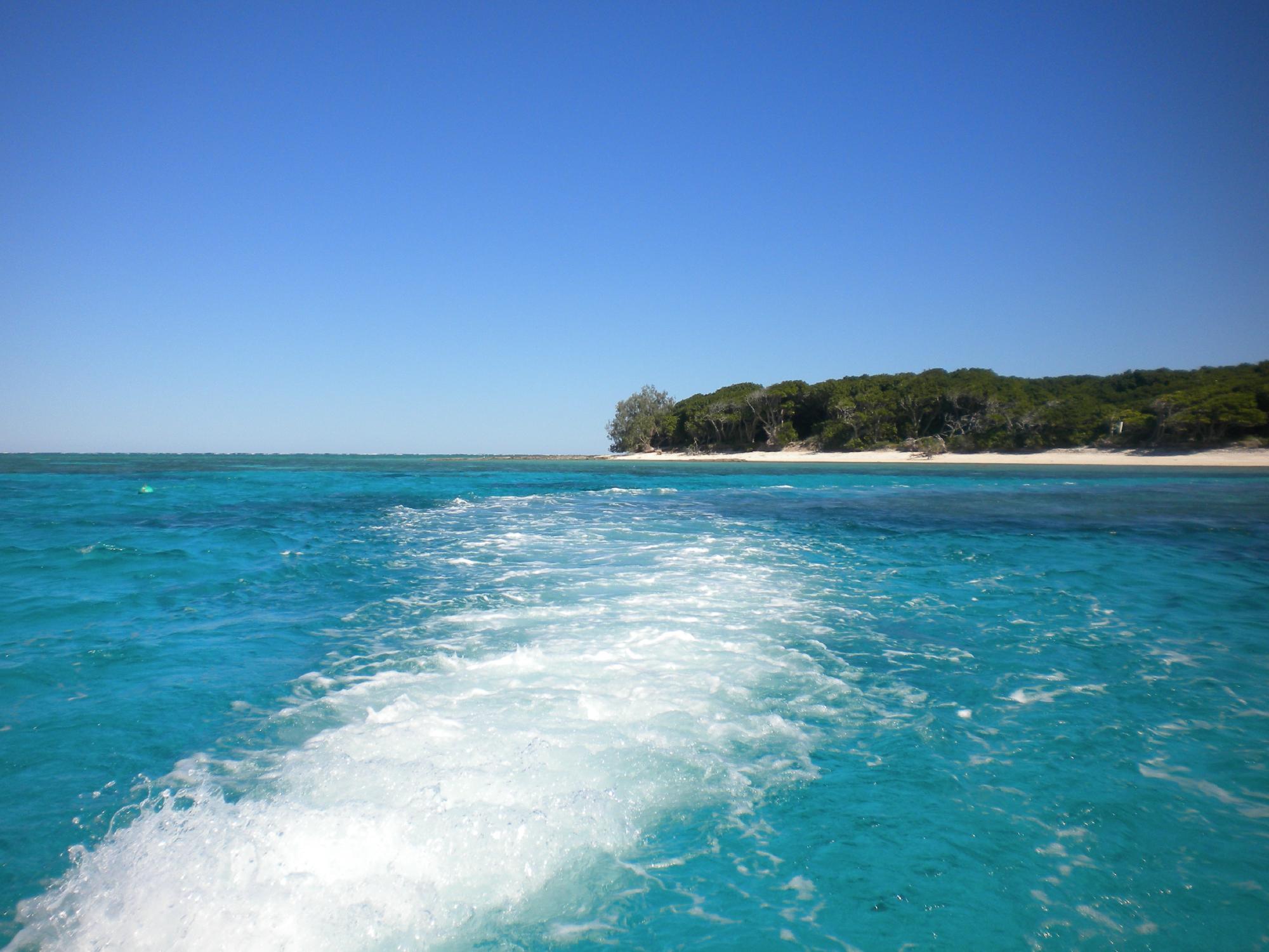 LADY MUSGRAVE ISLAND - 2022 Qué Saber Antes De Ir - Lo Más Comentado ...