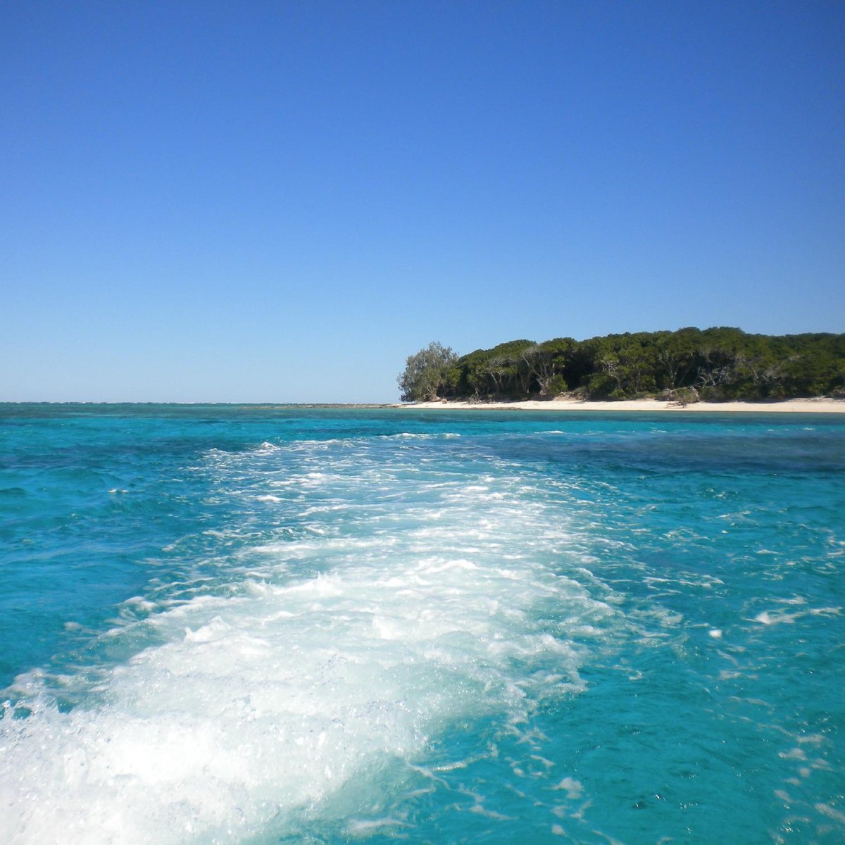 Lady Musgrave Island Aktuell für 2022 Lohnt es sich? (Mit fotos)