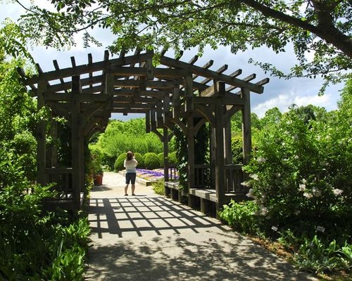 THE 10 BEST North Carolina Gardens (with Photos) - Tripadvisor