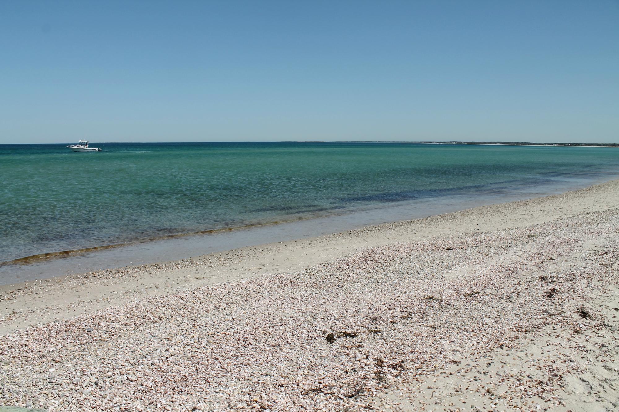 Discovering Joseph Sylvia State Beach: The Gem of Oak Bluffs, Martha's Vineyard