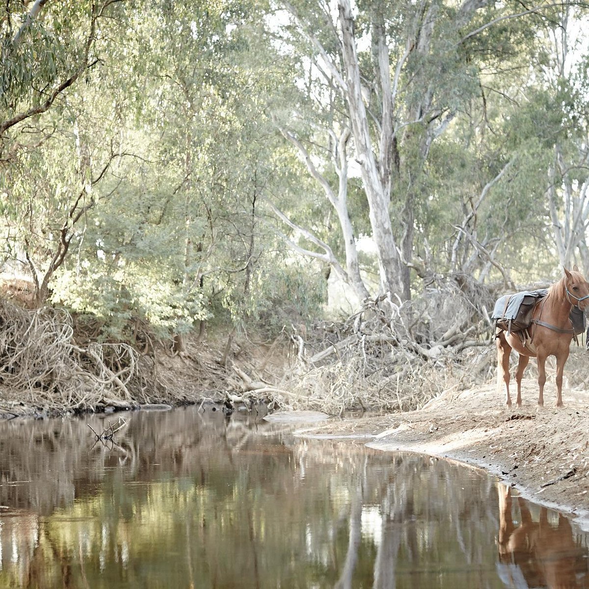 King's valley. King Valley Австралия. Valley of the Kings. King-Valley-from-Wangaratta.-image-visit-Victoria.