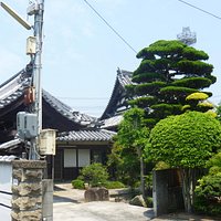 全景