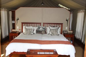 Royal Tree Lodge in Maun