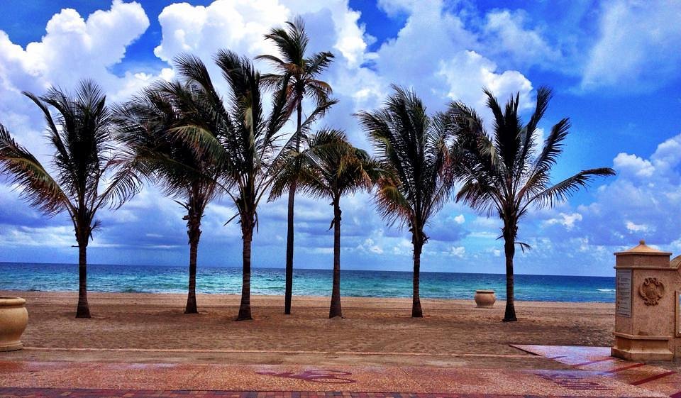 Beach Bliss & Beyond: Top Places to Experience the Magic of South Florida