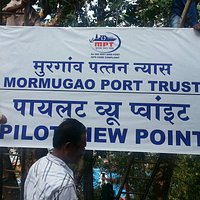 Pilot view point