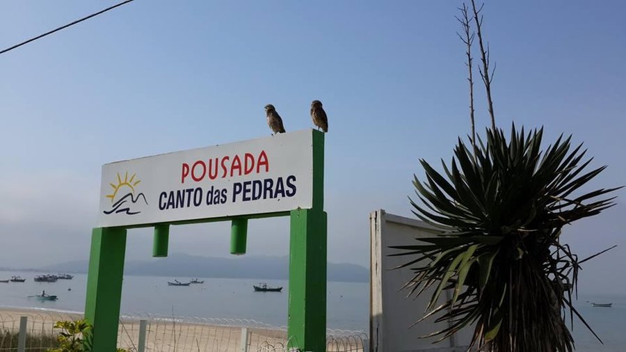 Visitantes!