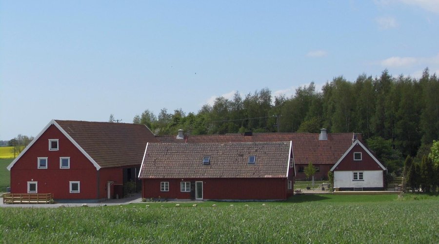 Red Bird Farm