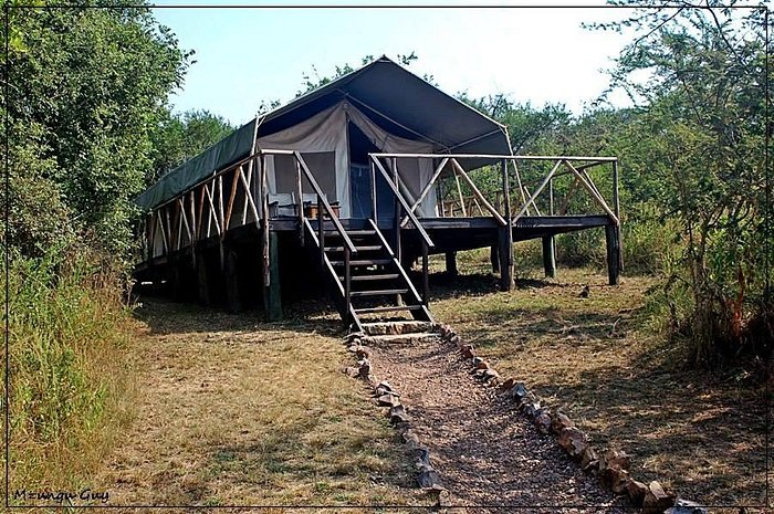 LAKE MBURO LUXURY TENTED CAMP - Prices & Lodge Reviews (Lake Mburo National Park, Uganda)