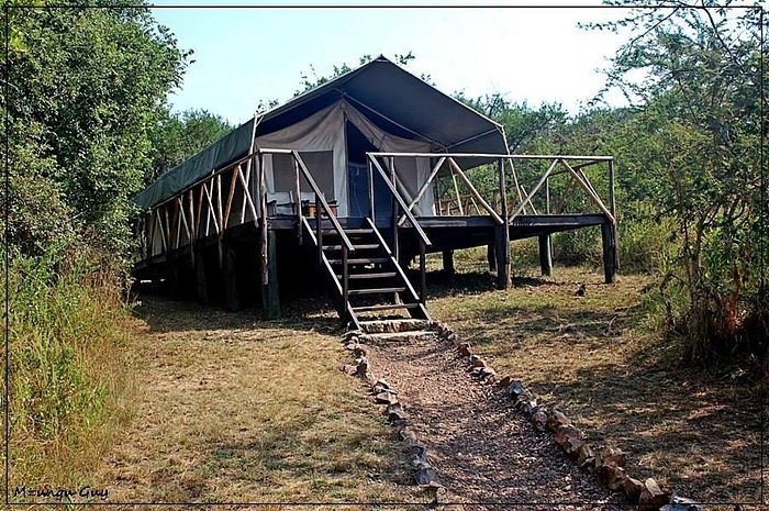 Top 1o Things To Do In Kenya On A Vacation 12 LAKE MBURO LUXURY TENTED CAMP - Prices & Lodge Reviews (Lake Mburo National Park, Uganda)