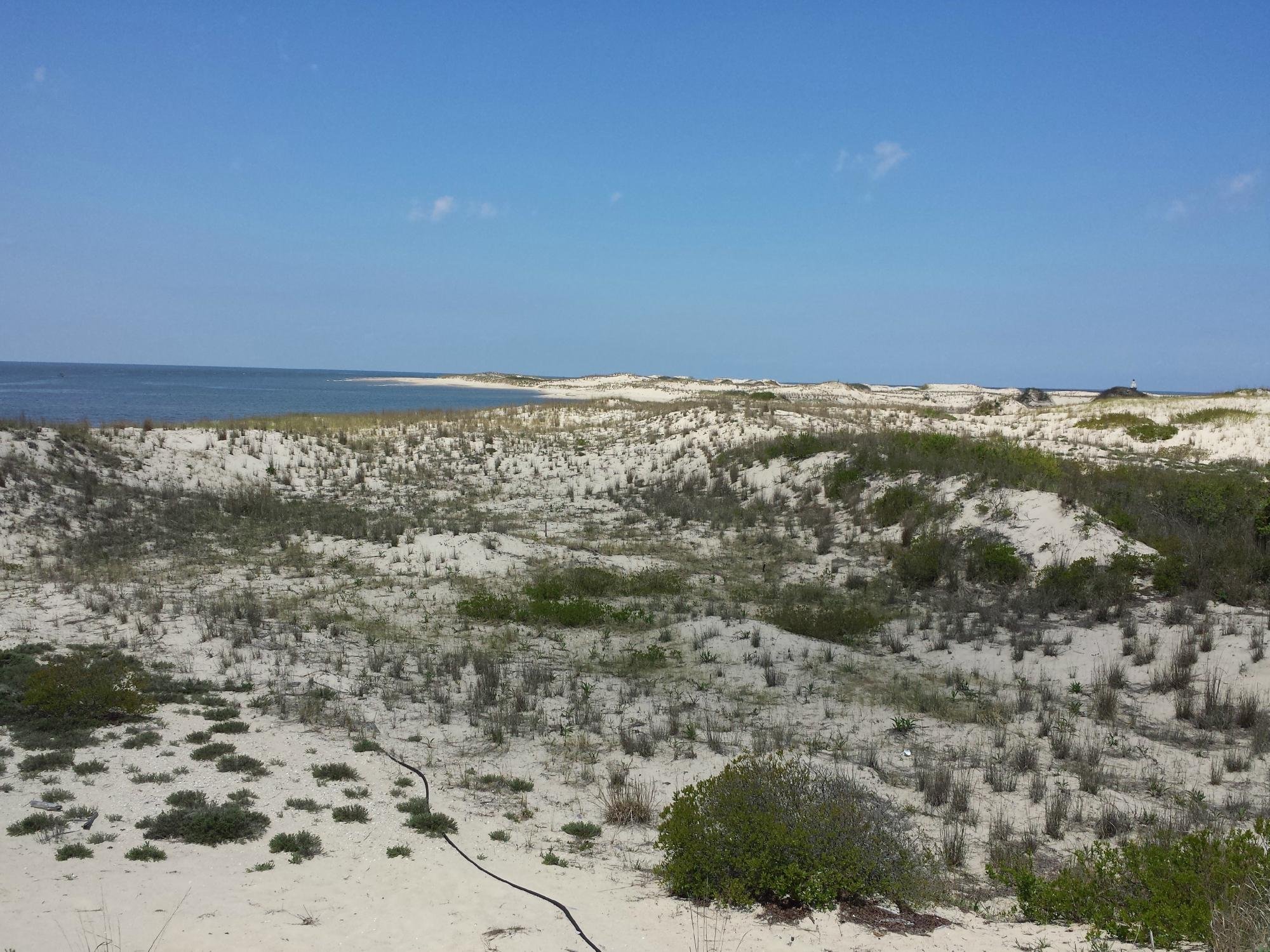 Cape Henlopen State Park (Lewes, DE) - Review - Tripadvisor