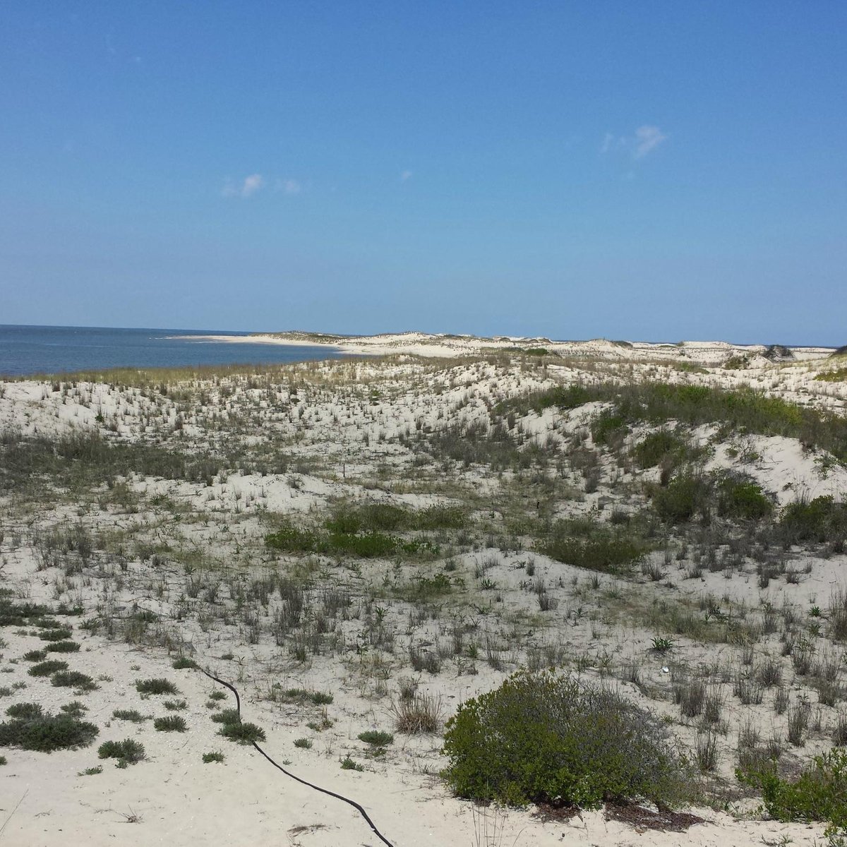 Cape Henlopen State Park (Lewes) - All You Need to Know BEFORE You Go