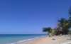 rodonsea