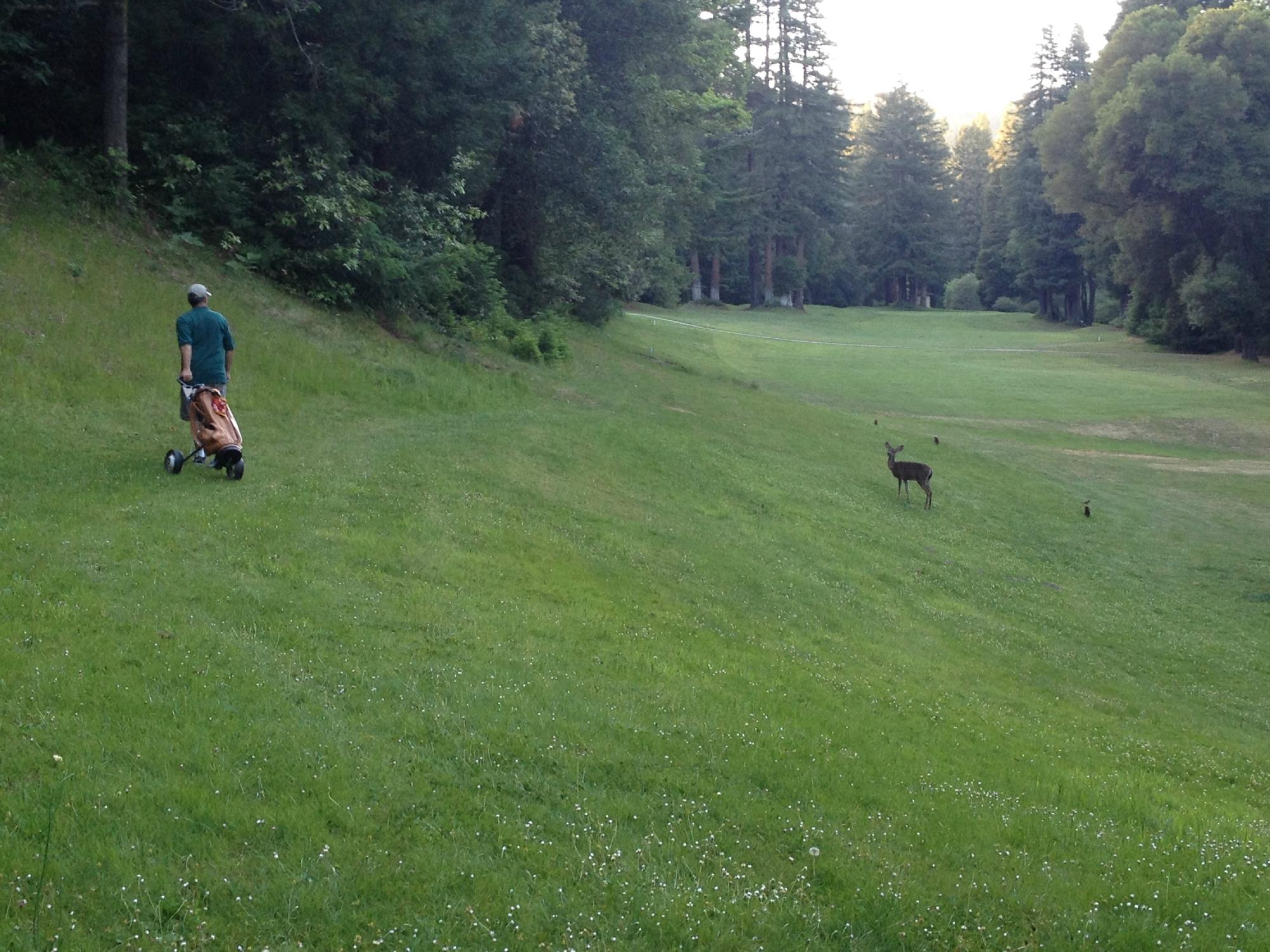 Boulder Creek Golf Club All You Need to Know BEFORE You Go