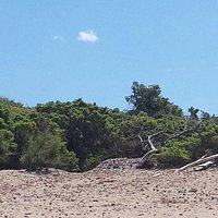 Le dune