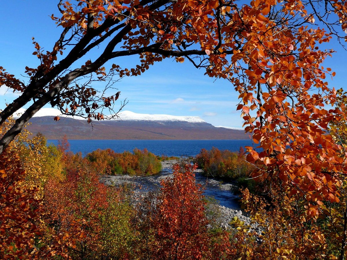 Abisko National Park - All You Need to Know BEFORE You Go (2024)