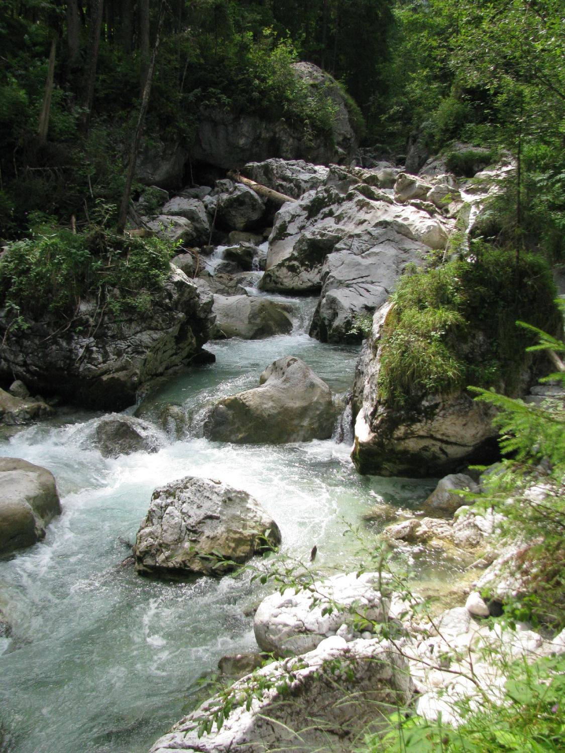 Zauberwald And Hintersee (Bavaria): All You Need To Know