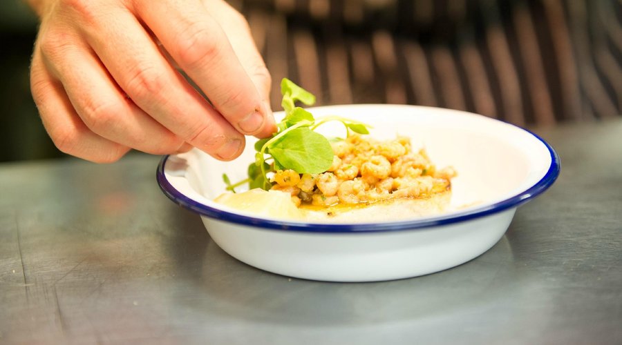 Shrimp starter