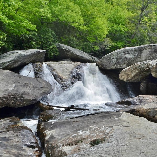 Moses H. Cone Memorial Park, Blowing Rock