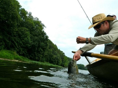 Fly Fishing in Illinois