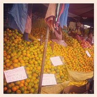 an ocean of oranges