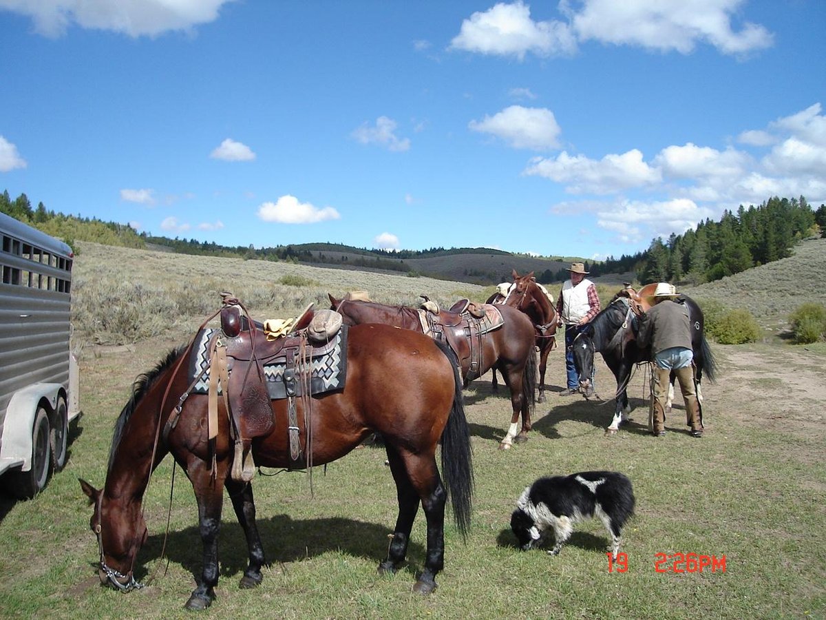 MCGARRY RANCHES - Ranch Reviews (Rexburg, Idaho)