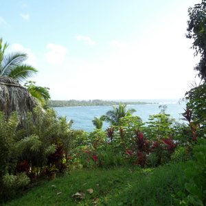 View from outside the yurt