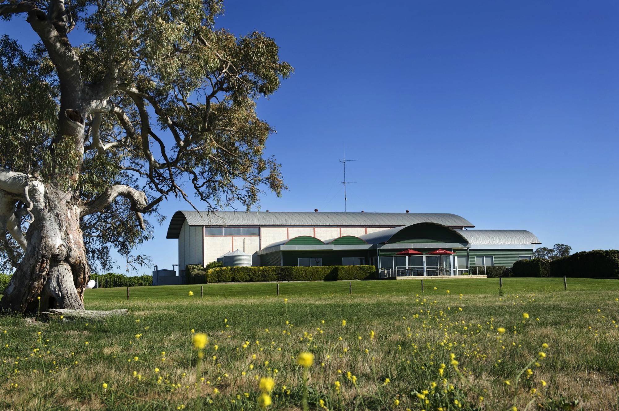 THE 15 BEST Things to Do in Coonawarra 2024 with Photos