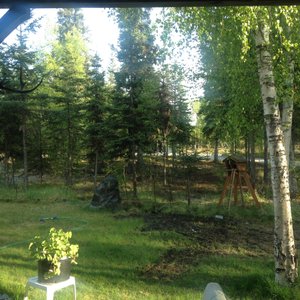 View from the room