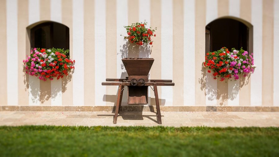 fiori che passione