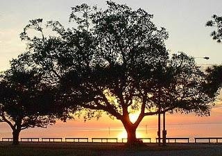 Sunrise on the Neuse River - taken from the hotel balcony