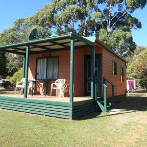our cabin, hakea