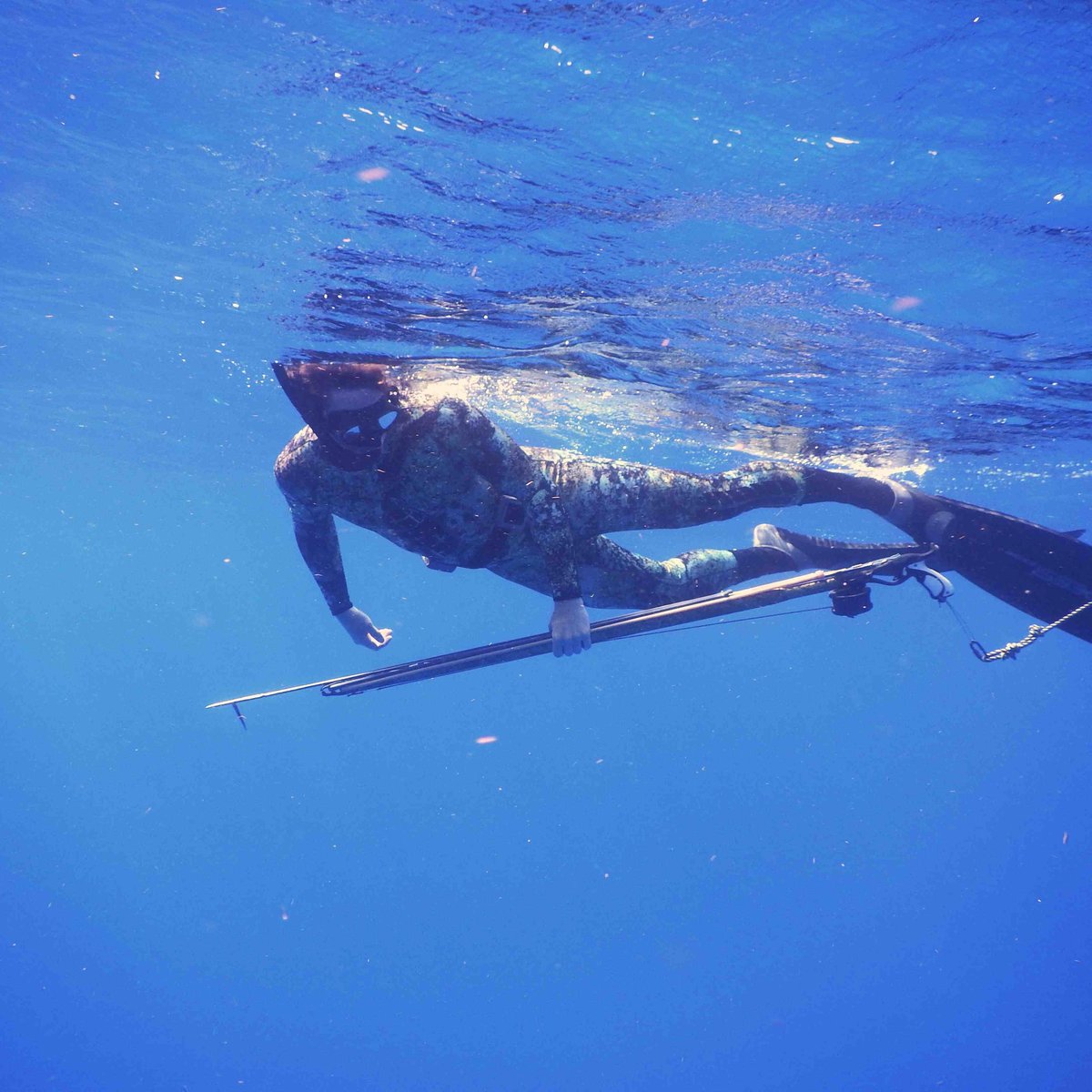 spearfishing cancun