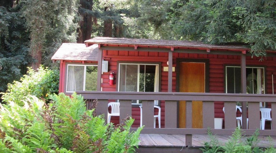 Cabin 8