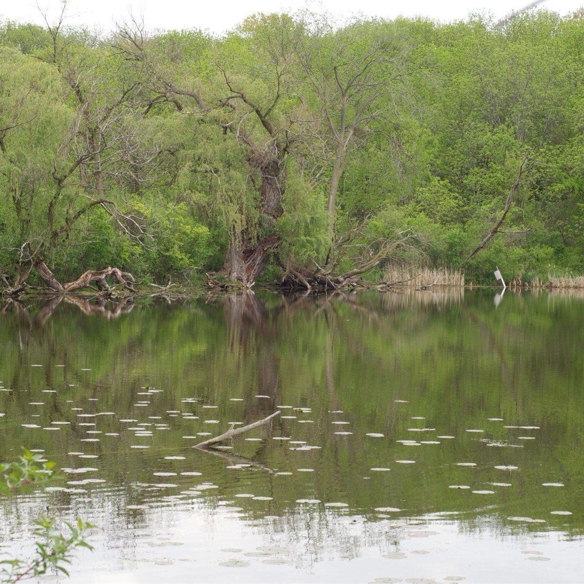 Wehr Nature Center - All You Need to Know BEFORE You Go (2024)