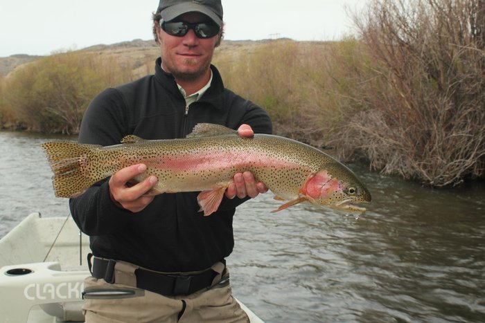 BACKCOUNTRY ANGLER - Hotel Reviews (Dillon, MT)