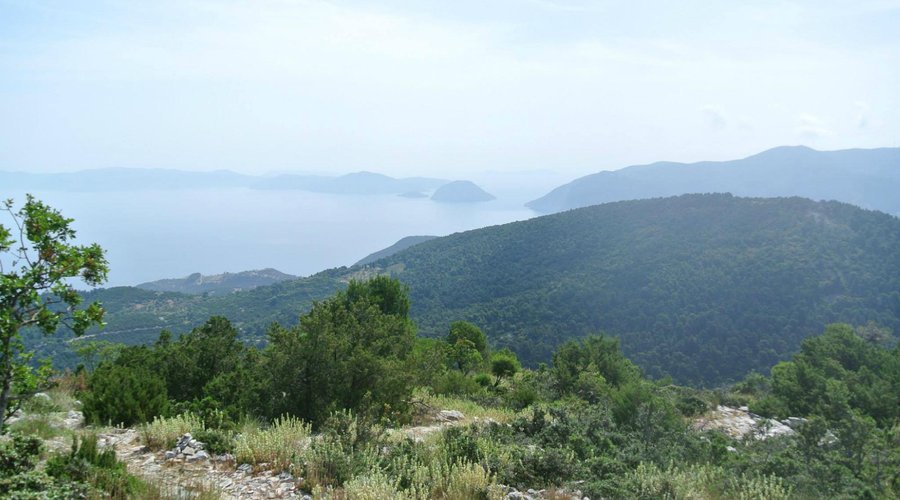 View from the top