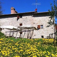 Laterale
