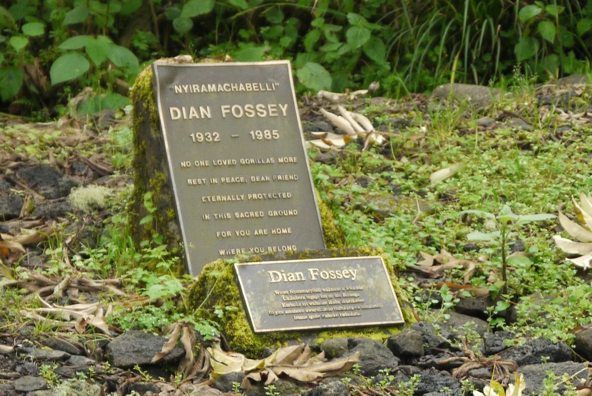 Facts concerning Dian Fossey Tomb