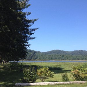 There's a huge open area along the river to enjoy and pets are allowed to play in.