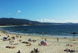 playa de la zona