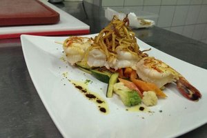 Cibo