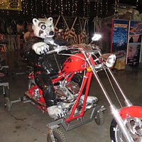 Part of the "Wild Bunch" Bear Motorcycle Gang