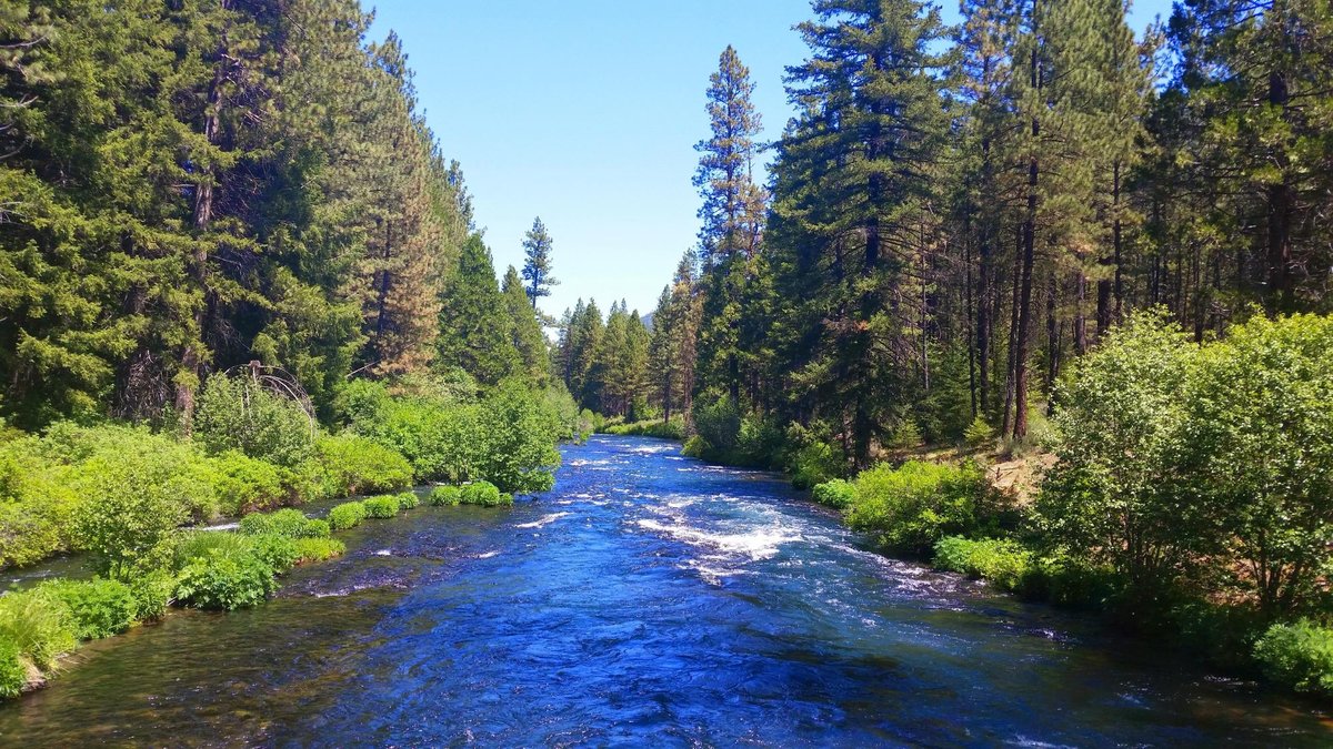 Wizard Falls Fish Hatchery (Camp Sherman) - All You Need to Know BEFORE ...