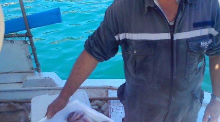 FRESH FISH  FROM FAMOUS LOCAL FISHERMAN !!