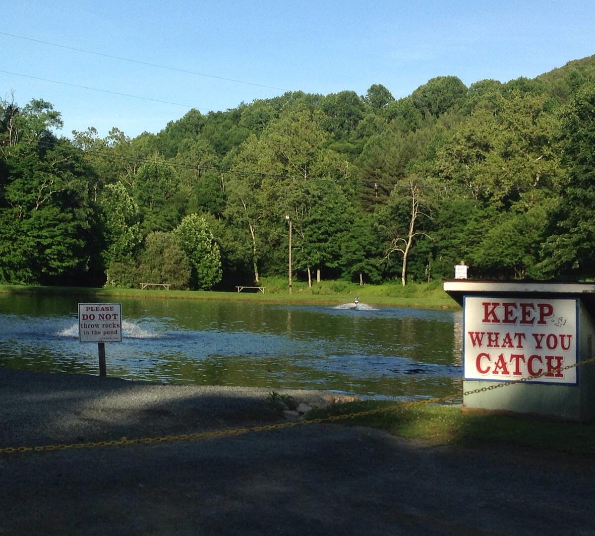 Watauga River Fly Fishing on North Carolina's Grandfather Mountain - High  Country Real Estate