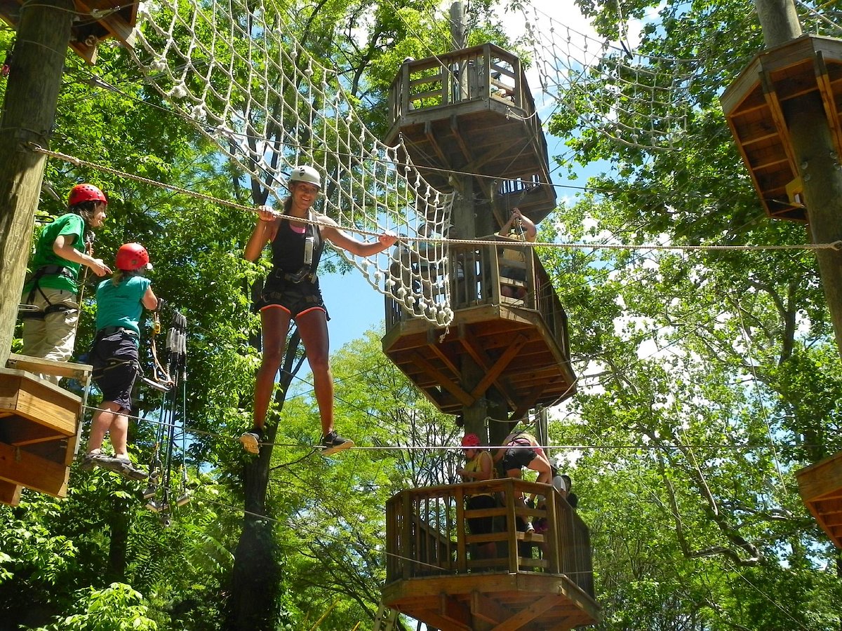 6 of the Best Places for Ziplining and Aerial Adventures in Maryland ...