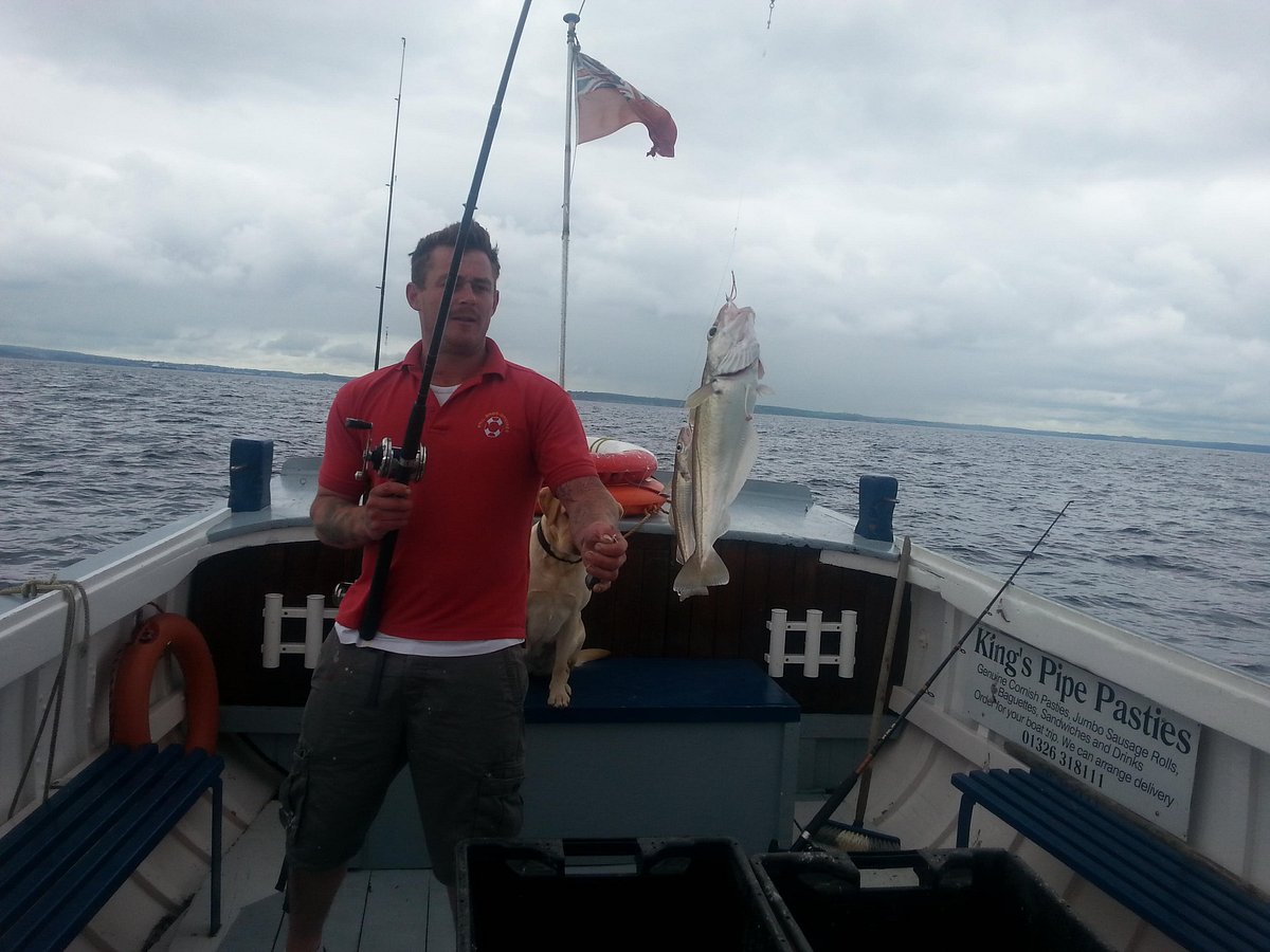 falmouth sea fishing trips