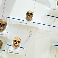 New permanent exhibition